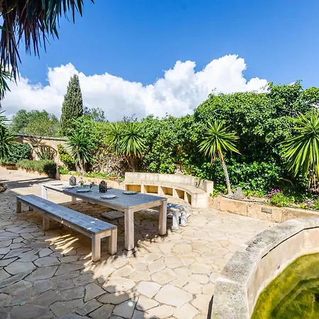 Yourhouse Calimero