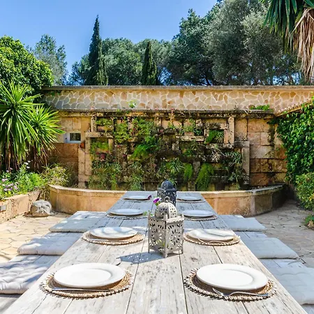 Yourhouse Calimero